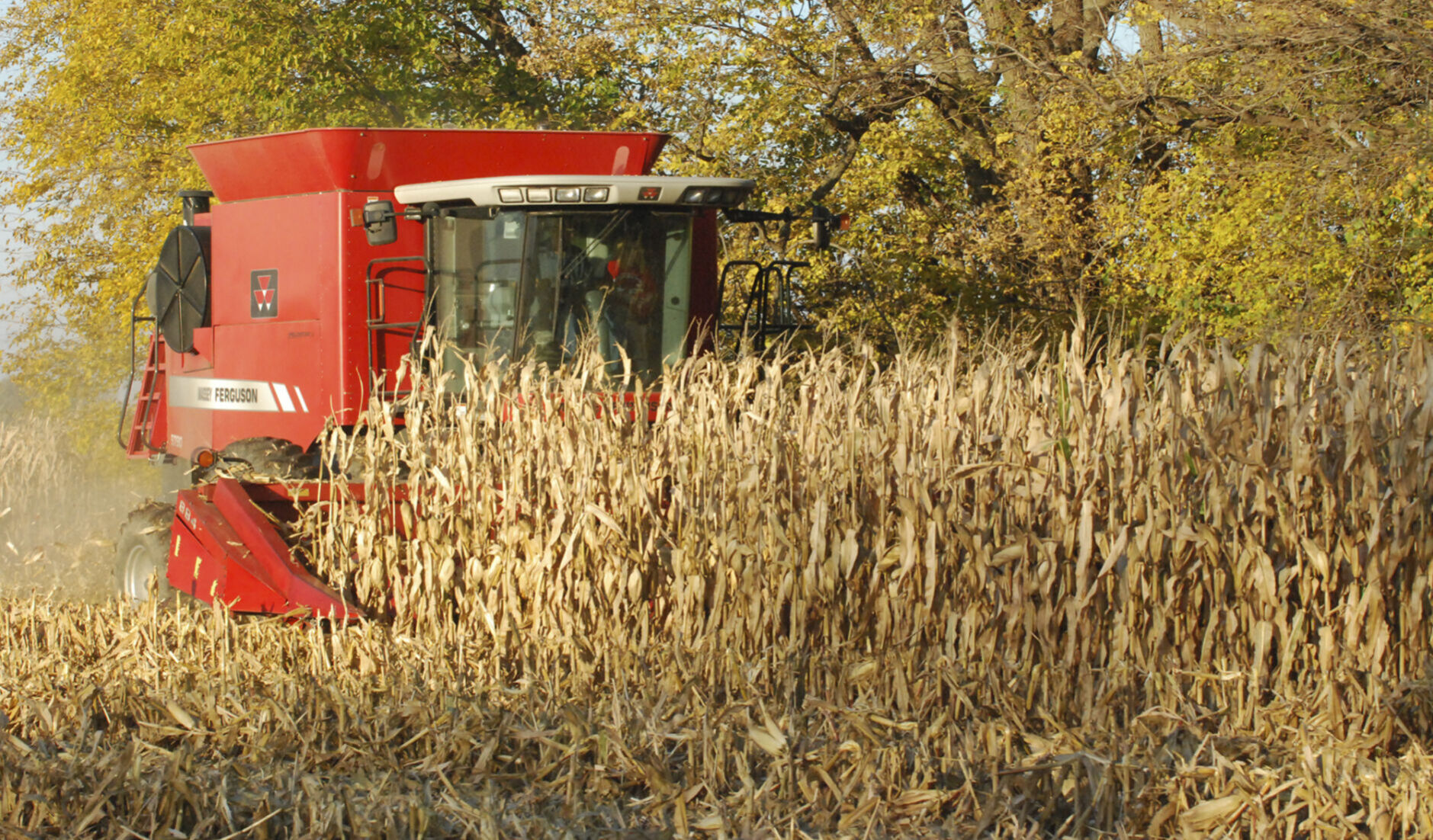 Harvest time